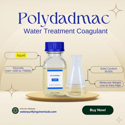 China Productos químicos de purificación de agua certificados NSF Coagulante de tratamiento de agua PolyDADMAC PDADMAC CAS no 26062-79-3 en venta