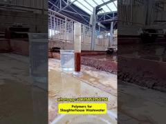 How to treat Slaughterhouse Wastewater?