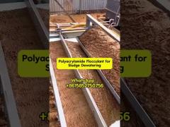 Bluwat Polymers Polyacrylamide used in sludge dewatering