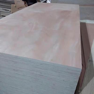 China For Construction Comaccord Commercial Plywood To Okoume Wholesale Price Poplar Plywood Face Veneer Gabon for sale