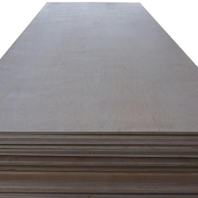 China Traditional Comaccord M.P 18mm Furniture Birch Plywood For European Market for sale