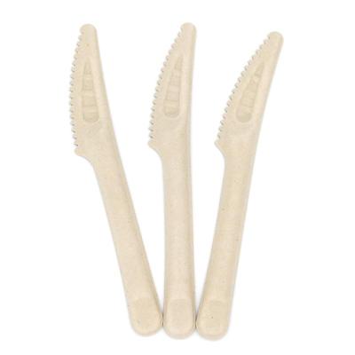 China Wholesale Modern Simple 7 Inch Biodegradable Disposable Knives Forks And Spoons Sugar Cane Bagasse Spoon Cutlery For Food for sale