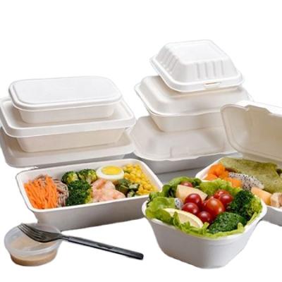 China New design minimalist bagasse 9 inch disposable leak proof biodegradable food container with lid manufacturers for sale