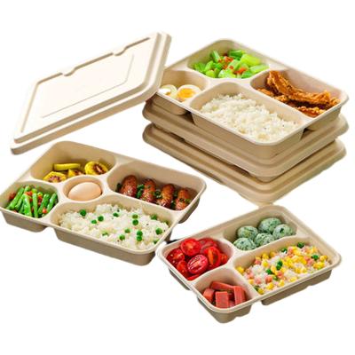 China Sugar Cane Bagasse Minimalist Biodegradable Disposable Food Container 4 Or 5 Compartment Take Out Lunch Box With Lid for sale