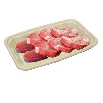 China Eco-friendly Disposable Rectangular Biodegradable Leakproof Sugarcane Bagasse Meal Tray Customized Biodegradable Tray For Food for sale