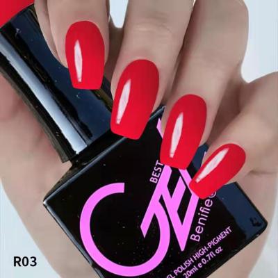 China Nail Art Beauty High Quality Color Gel Polish Pure Color 20ml For Nail Gel Polish Set for sale