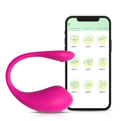 China 9 Modes Wireless Vibration Panties Vibrator With Remote Wholesale Price Panty Vibrator Sex Toys For Woman With Remote for sale