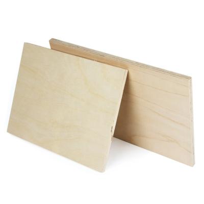 China 12mm Modern Customizable Waterproof Birch Veneer Plywood 3mm Baltic 1/2 Board for sale