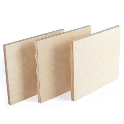 China Modern High Quality Russian White Birch Plywood For Cabinet And Furniture for sale