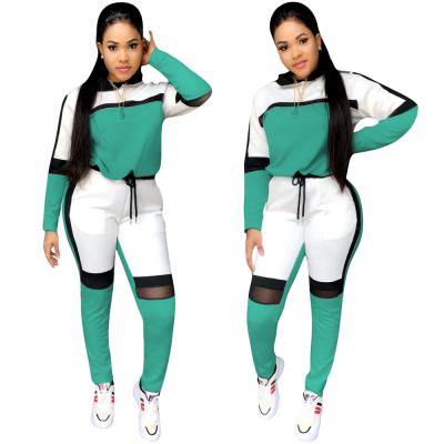 China Ebay Breathable New Plus Size Clothing Autumn Fashion Jogging Set For Women Pant Set Women Two Piece Clothing for sale