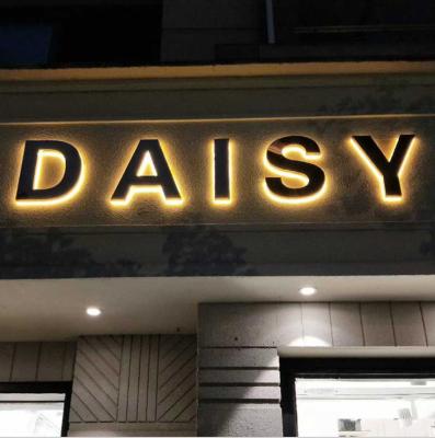 China Eco-friendly Stainless Steel Illuminated Back Illuminated Word Logo 3D Customized Signboard Store for sale