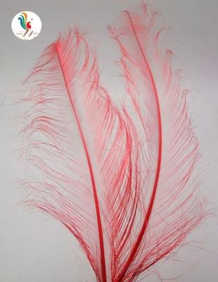 China FEDEX Shipping Feathers Millinery Supplies Burnt Ostrich Feathers 50-55cm Hat Decor for sale