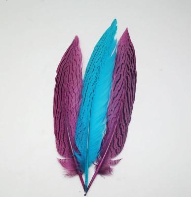 China Carnival Costumes Silver Pheasant Feather Hat Decoration with Dyed Patterned Feather for sale