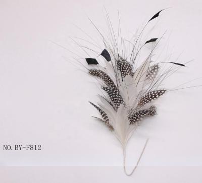 中国 10x30cm 羽毛のマウント パーティの装飾 ギニア鳥 パウンの羽毛の花 販売のため