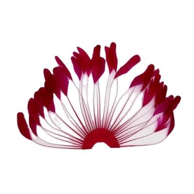 China Dyed Pattern Party Decoration Stripped Coque Feather Flower Fan With Wire Accessory for sale