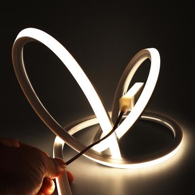 China Hot Selling Eco-friendly SJH Strip Neon Lights Silicone Neon Tube Make Customized Neon Light For Home for sale