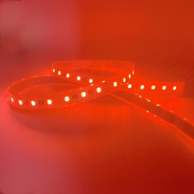 China Hotel factory direct sales RGBW 5050 12V 24V led strip light Rgbw led strip light Rgbw led strip for sale