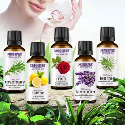 China Custom Pure Skin Revitalizer Tea Tree Peppermint SPA Body Oils Skin Care Aromatherapy Essential Oils Gift Set Natural Lavender Essential Oil for sale