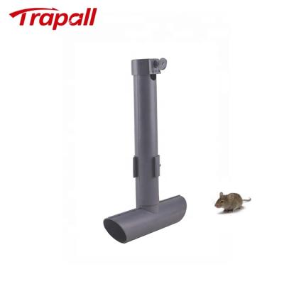 China Viable Outdoor Plastic Feeder Rat Bait Station Tube Tunnel Mouse Top Trap for sale