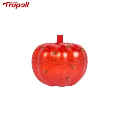 China Viable Reusable Plastic Fruit Fly Killer Insects Plug In Catcher House Kitchen Fly Trap for sale