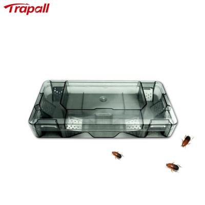 China Viable Reusable Plastic Insect Bait Catcher Box Cockroach Automatic Trap Chamber for sale