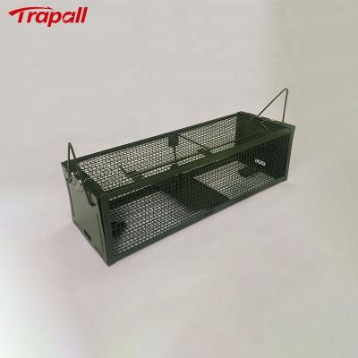 China Viable Live Catch Metal Rat Bait Station Rodent Mouse Trap Humane Cage With Double Doors for sale