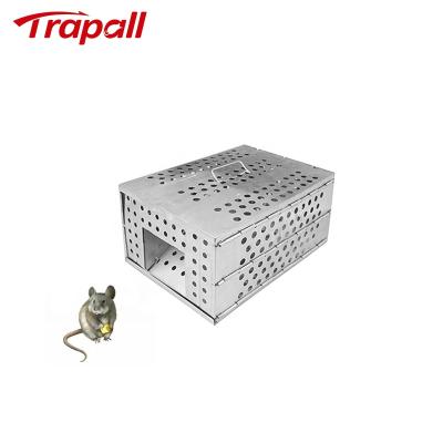 China EPA Metal Mesh Rodent Bait Station Live Hook Mouse Cage Viable Humane Trap for sale