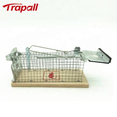 China EPA Live Catch Metal Rodent Control Viable Humane Mouse Trap Cage With Wooden Base for sale