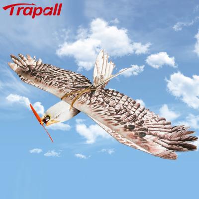 China Viable Outdoor Electronic Remote Control Flight Hawk Raven Bird Deterrent Scarecrow for sale