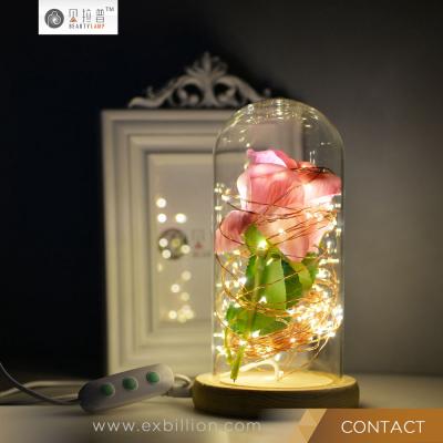 China It is used to decorate Christmas table customized low energy to consume fairy ledstring lights with glass ball ornament for sale