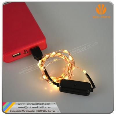 China USB Adapter Powered Regular-Flash String Lights Home Decoration Lights USB Adapter Powered Regular-Flash String Lights Home Decoration Lights for sale