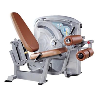 China Best Fitness Center Quality Pin Loaded Seated Leg Loop Bodybuilding GM Equipment for sale