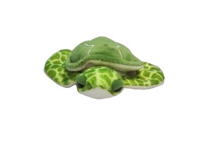 China 4'' Mini green sea turtle / green mini tortoise for sale