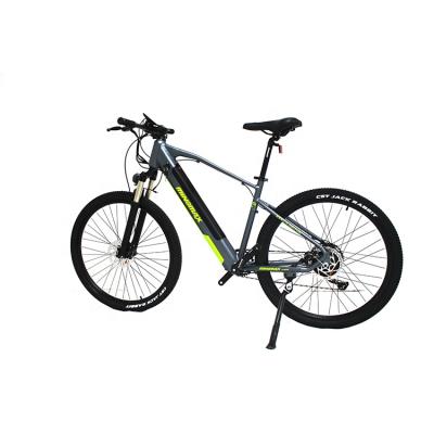 China Importer Aluminum Alloy MINGMAX Electric Bicycle Frame Electric Bike High Speed ​​Electric Bicycle For Adult for sale