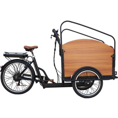 China china factory electric passenger cargo bike with cargo box for sale for sale