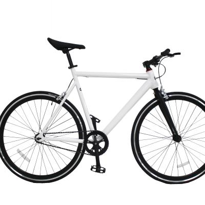 Chine Cargo Ebike 26