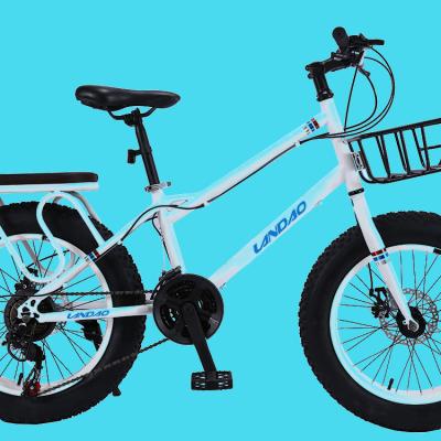 Chine Minmax Electric Bicycle 2020 Popular Electric Bike Fat Tire For Kids 20 Inch 48V 250W Max Motor Frame Power Battery Time Controller à vendre