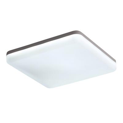 China Zhongshan Supplier Balcony Kitchen Wall Switch Outdoor Mounted Surface Mounted Led Ceiling Light Home Waterproof for sale