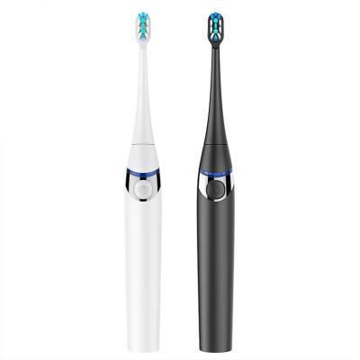 China Size Quality Low Price Waterproof Electric Toothbrush Private Label 800mAh for sale