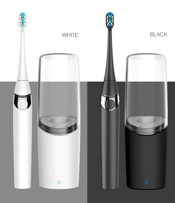 China Fast Shipping Whiten Sonic Adult Toothbrush Electric Delicate Clean Travel 800mAh for sale