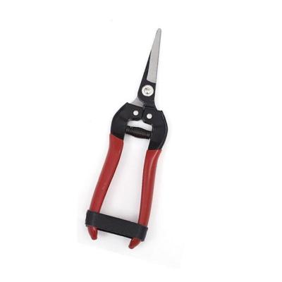 China Anti-Slip Handle Prevent Slippery Pruning Saw Fruit Scissors Tree Shears for sale