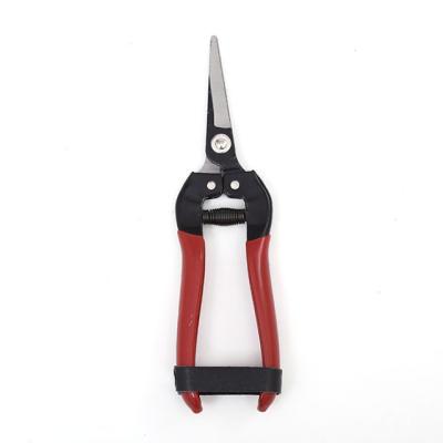 China Non-Slip Handle Garden Shears DIY Tools Fruit Shears Fine Bonsai Scissors for sale