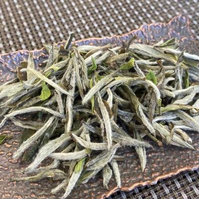 China Compressed Tea Customized Organic Unique Silver Needle White Tea Fuding Loose Leaf Chinese White Tea for sale