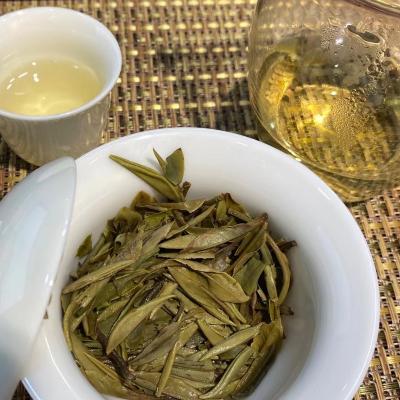 China Fuding China Hot Selling Compressed Tea 2022 Organic White Leaf Peony Tea Silver Needle Tea for sale