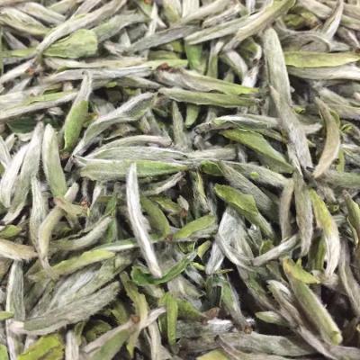 China Hot Selling Good Quality Peony White Tea Compressed Tea 2022 Best Quality Wholesale Organic Custom Grade White Tea for sale