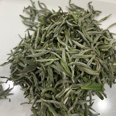 China Customized Compressed Tea 1st Grade Peony White Tea Slimming White Tea Use Of Bubble Tea Ingredients for sale