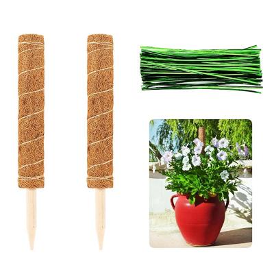 China Eco-friendly 80Cm Mesh Container 1.2M 1.5M 1.6M 40Cm 50Cm 60Cm 70Cm 30Cm Moss Pole 90Cm Coir Coir Jute Cage Low Care Con Mold Etsy Leca for sale