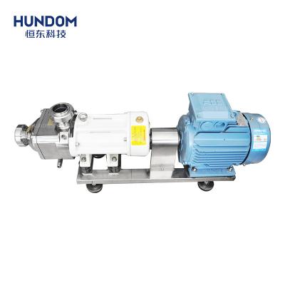 China Automotive Industry Double Screw Pump Stainless Steel High Viscosity Twin Screw Pump for sale