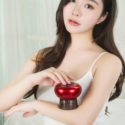 China Body Gua Sha Electric Vacuum Spa Tool Massage Suction Cups Magnet Therapy Cup Scraping Device for sale