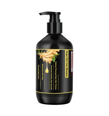 China Wholesale Paraben Free Sulfate Free Loss Prevention Private Label Argan Oil Hair Care Ginger Shampoo Set for sale